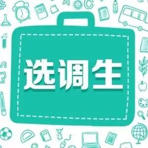 银川招聘信息最新动态及温馨故事概述