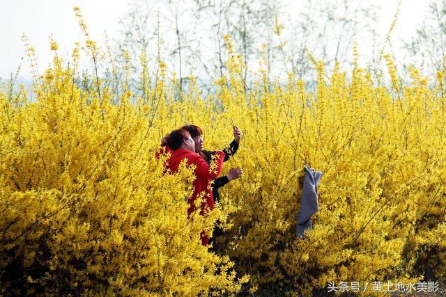 暖春花开地最新地址,暖春花开地最新地址，一场寻找内心平静的旅程