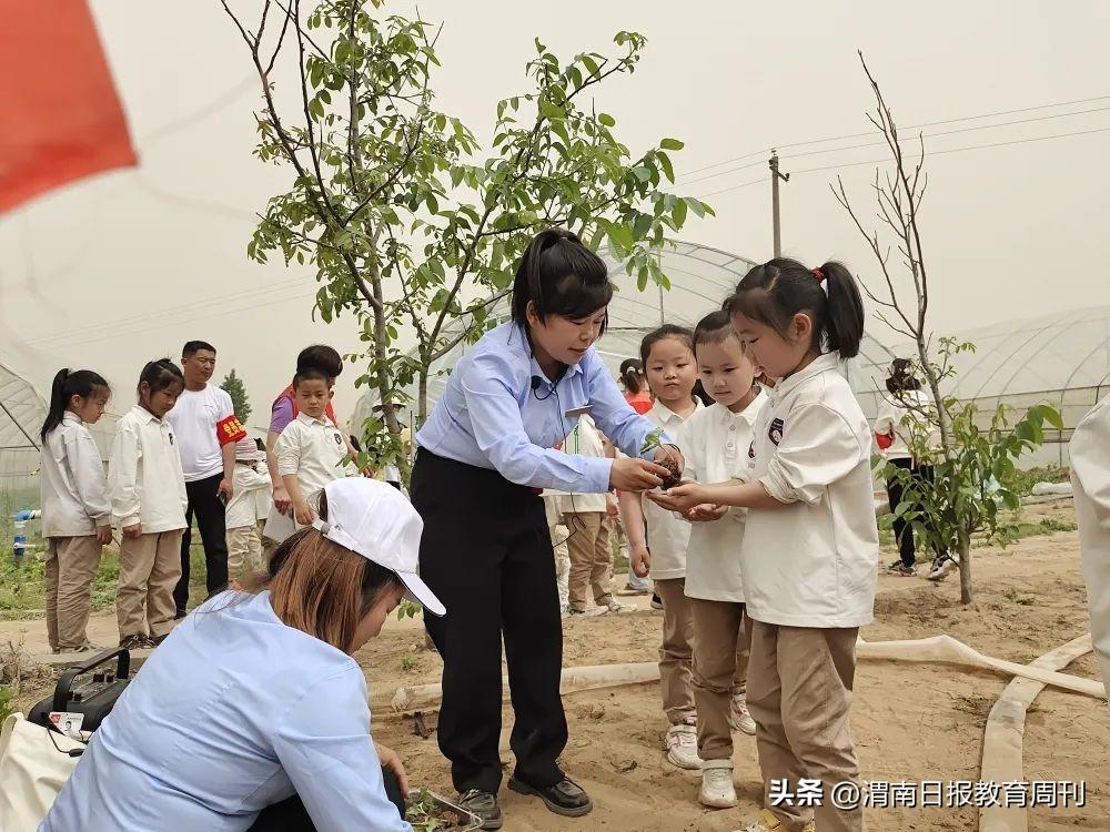 大荔县招聘网最新招聘，与大自然共舞，寻找内心的宁静之旅