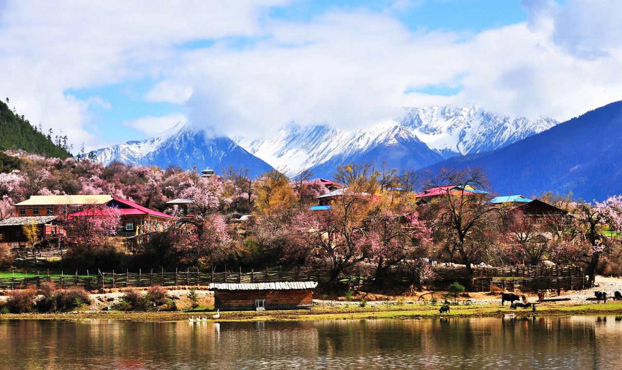 最新天地图，心灵之旅的平静冒险