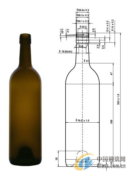 酒瓶最新动态概览