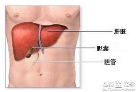 园林绿化工程 第143页