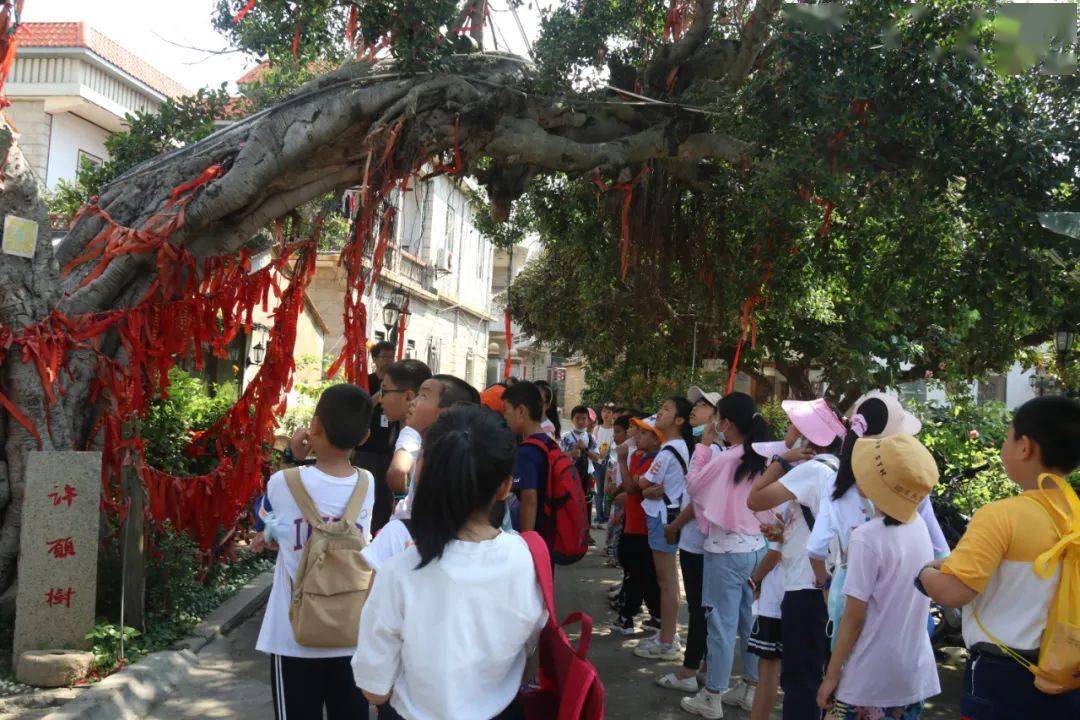 保定双清别院最新动态，变化中的学习之旅，成就感的源泉，自信从这里起航