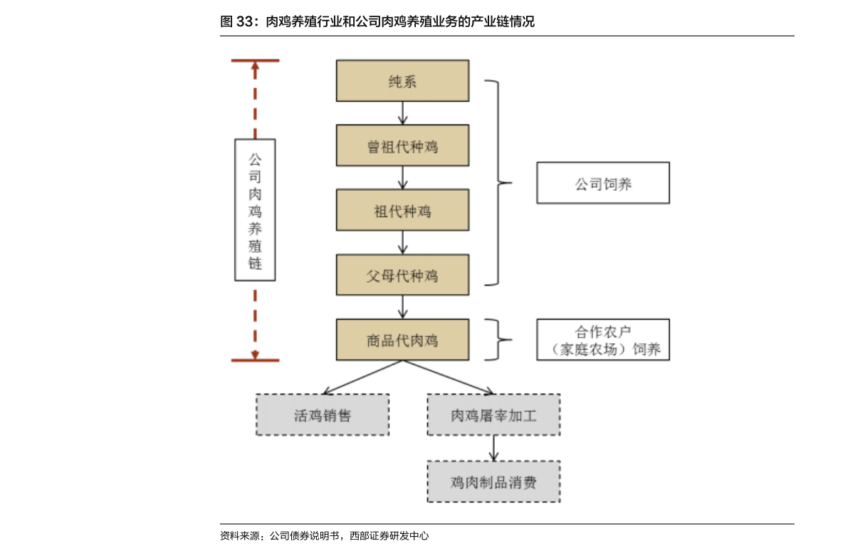 北京退休职工工资调整最新动态，科技重塑退休生活，未来触手可及新趋势