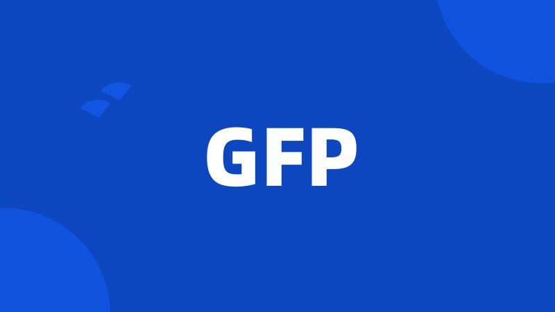 gfp最新排名,🌟GFP最新排名大揭秘🌟